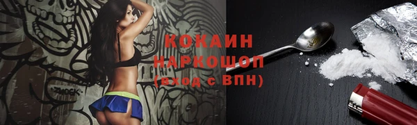 спайс Алексин