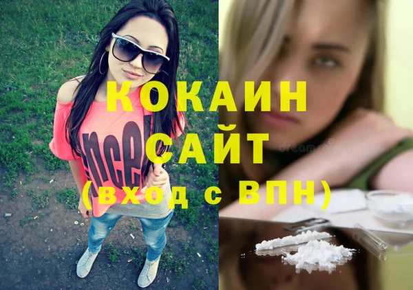спайс Алексин